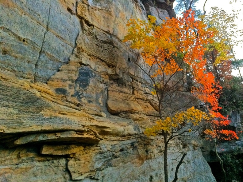 Natural Bridge State Park 14.jpg